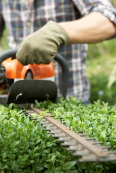 servicios de mantenimiento de zonas verdes